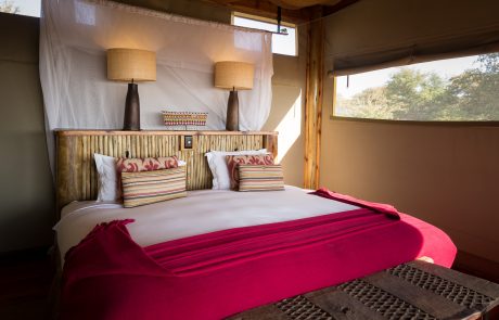 Kalahari Plains Camp Tent Kalahari Plains Camp Tent