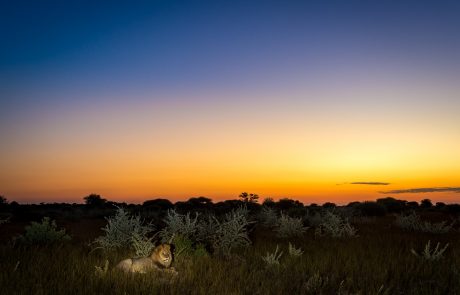 Kalahari_2015-03-165e Kalahari Abendstimmung