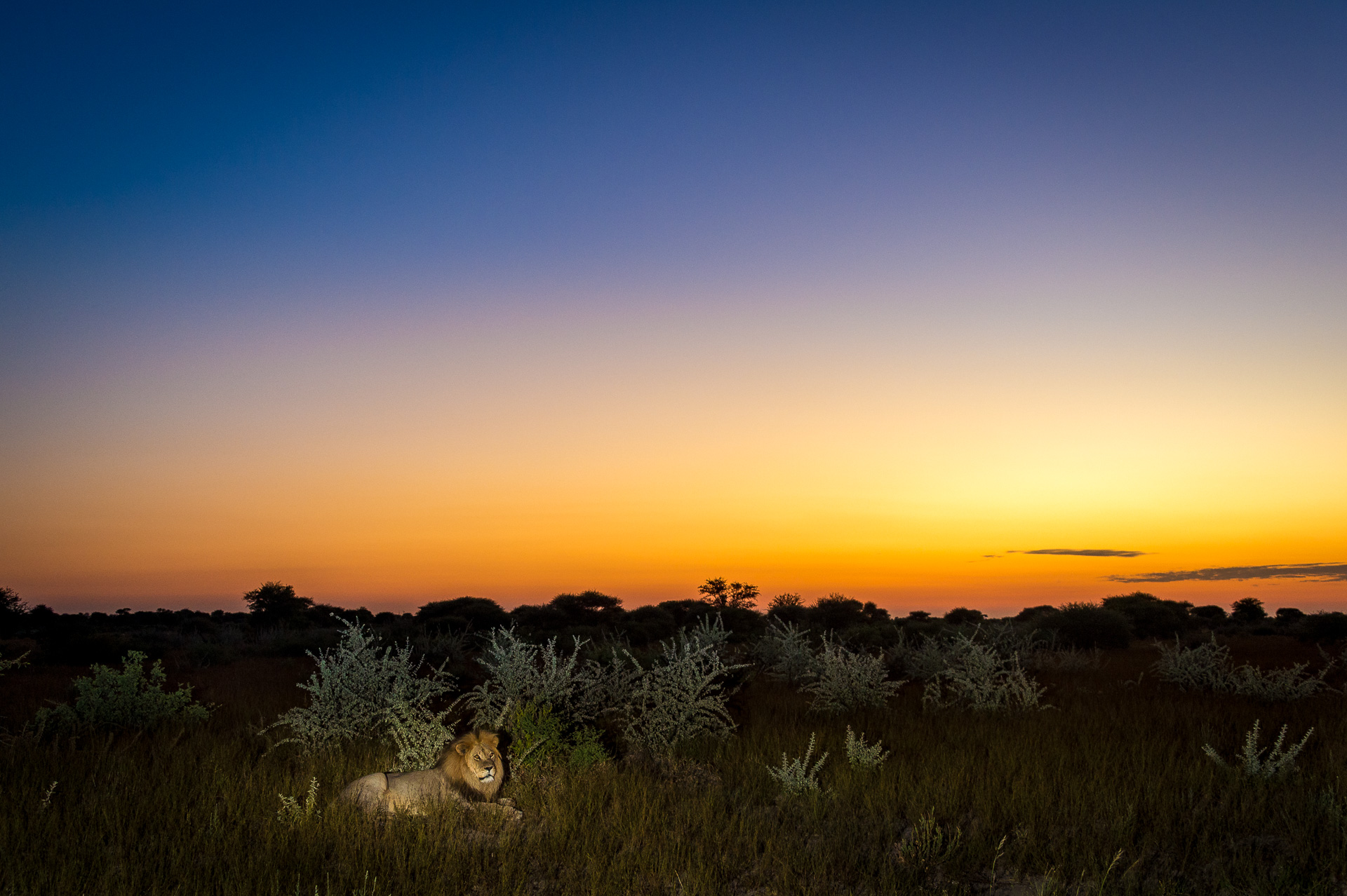 Kalahari Abendstimmung