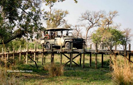 Botswana-Best-pompom01 Botswana Pom Pom Zufahrt