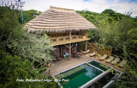Botswana Bakwena Lodge Pool