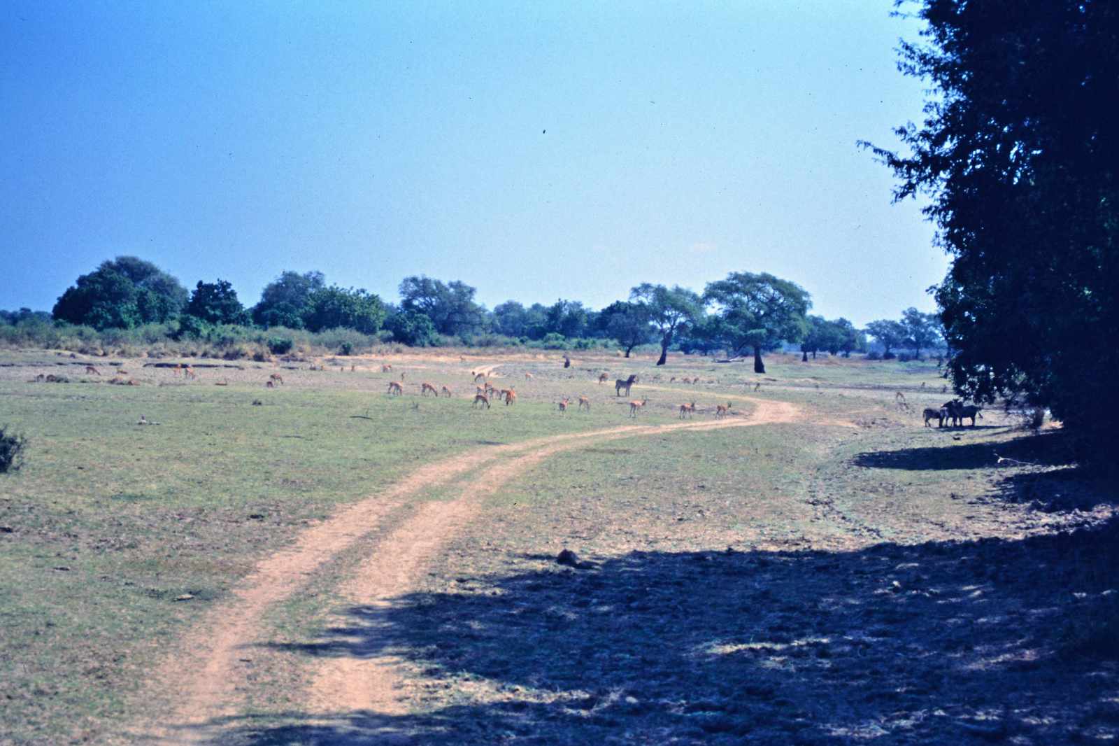 Botswana Strecke