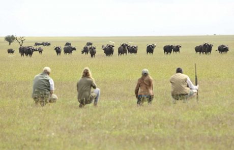 Kenia Schnupperreise – Ol-Pejeta-Bush-Camp-walking-safari-scaled Kenia Rekero Buschwanderung