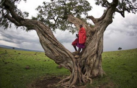 Kenia Schnupperreise – Rekero-camp-maasai-in-tree-scaled