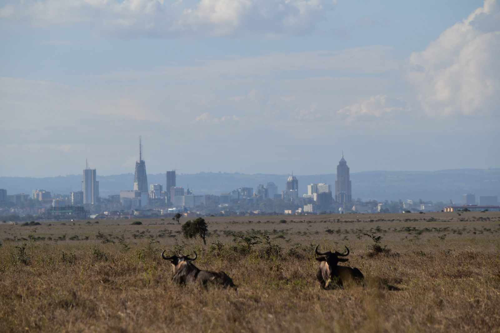 Kenia-Experience_Nairobi-NP