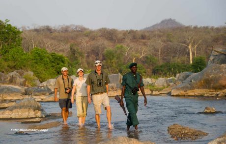 Majete NP cc Mkulumadzi Lodge