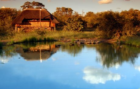 Mashatu Tented Camp Hide