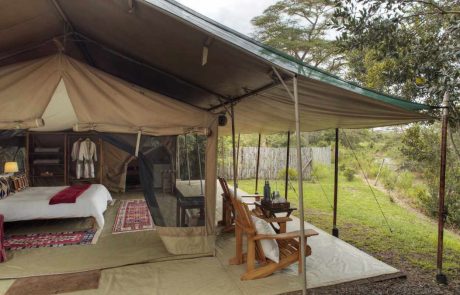 Rundreise durch Kenia – Asilia-Ol-Pejeta-Bush-Camp-Guest-tent-exterior-scaled Ol Pejeta Bush Camp @ Asilia