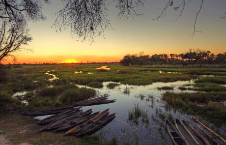 botswana-Tierparadies Okavango Delta – Oddballs-Blick Botswana Delta cc Oddballs