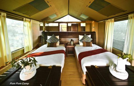 Botswana credit Pom Pom camp