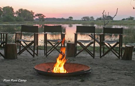 botswana-di-pompom04 Botswana Pom Pom Camp