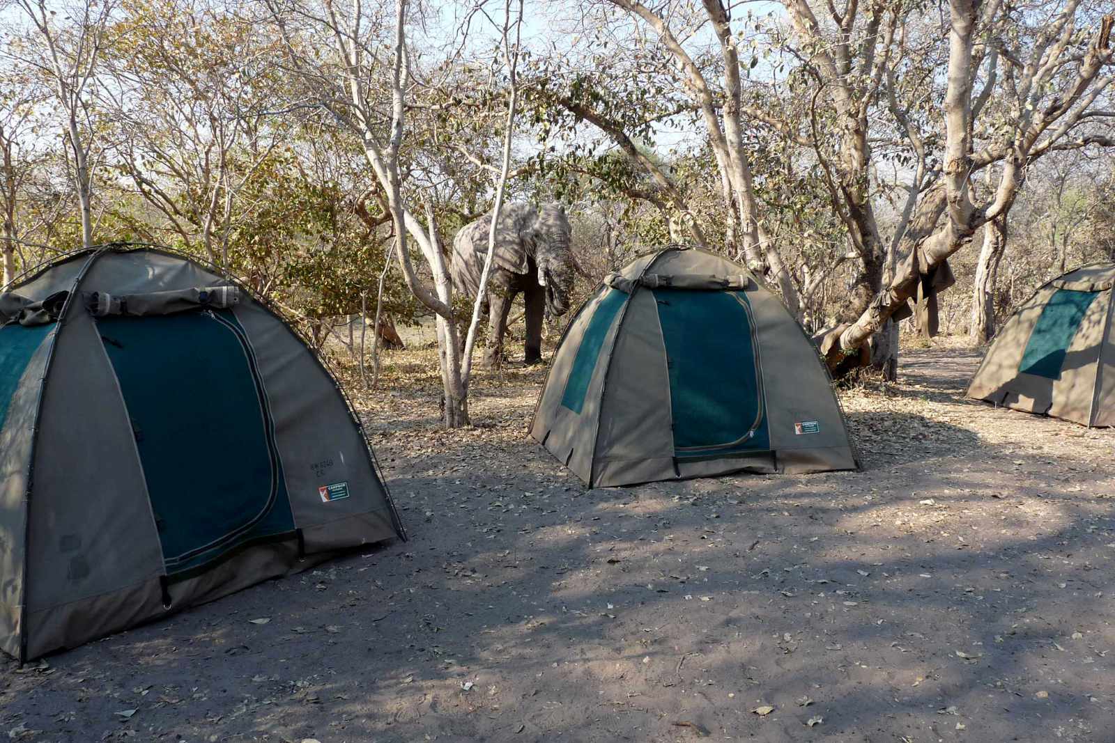 Botswana Kalahari Trail Zelte