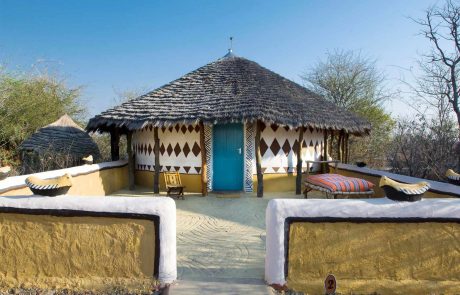 Botswana Planet Baobab