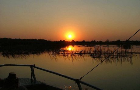 Botswana-Wildparks- Dämmerung