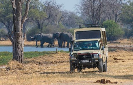 botswana-tansania-wildside-sunway_botswana_moremi_game_drive_bruce_taylor_20131111_1314279320 Botswana Moremi Pirschfahrt