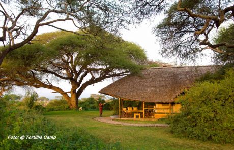 kenia-bws-Tortilis-high-res-3 Kenia mit Strand Tortilis Lodge
