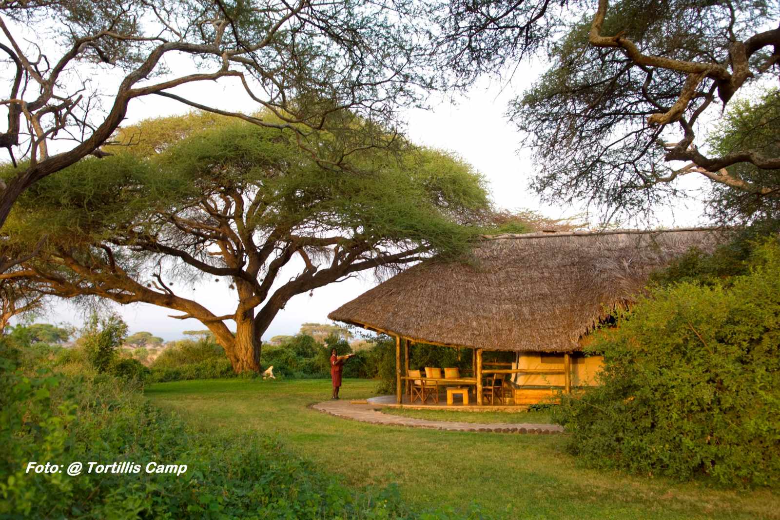 Kenia mit Strand Tortilis Lodge