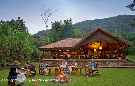 kenia-wa-Sanctuary-Gorilla-Forest-Camp-1 Uganda Sanctuary-Gorilla-Forest Main