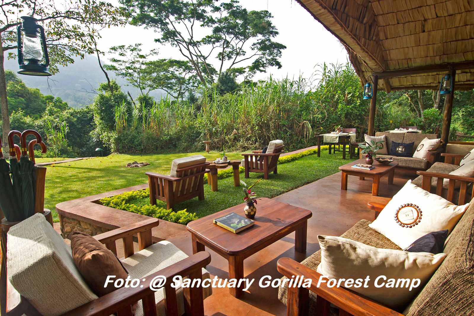 Uganda - credit Sanctuary-Gorilla-Forest