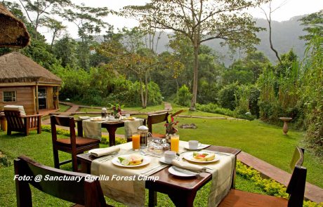 kenia-wa-Sanctuary-Gorilla-Forest-Camp-6 Uganda credit Sanctuary-Gorilla-Forest-Camp