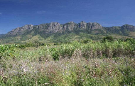 Malawi Entdecker Zomba