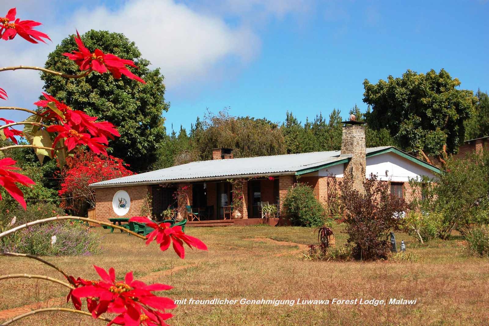 Malawi Luwawa Lodge