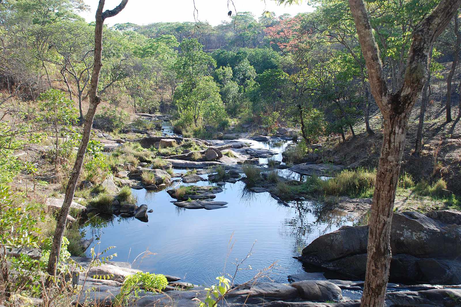 Malawi Dzalanyama Fluss