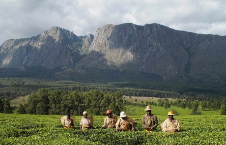 Malawi Entdecker Mulanje Berge