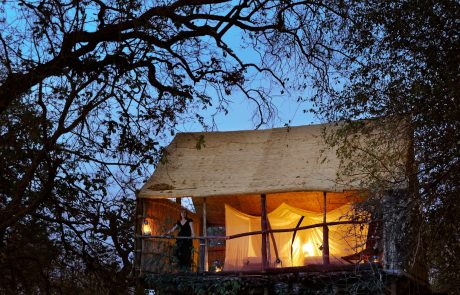 Chikoko Tree Camp_evening Sambia Nsefu Chikoko Tree Camp