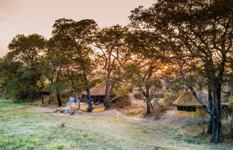 Sambia Nsefu Crocodile Camp