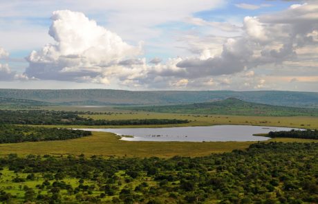 Blick über den Lake Mburo Nationalpark