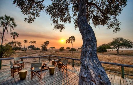 Tansania Katavi cc Mbali Mbali Terrasse