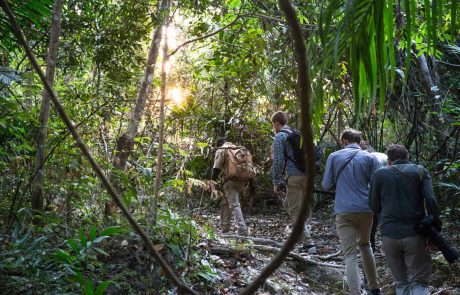 Tansania Mahale Chimp Tracking cc Mbali Mbali