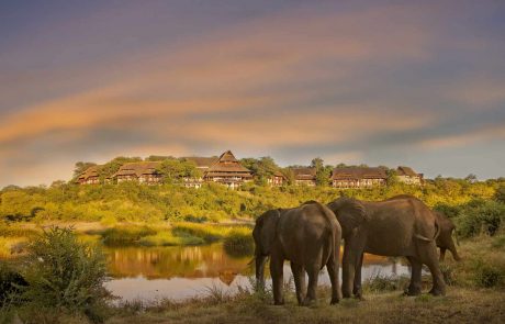 Mosambik Simbabwe Kombo – Elephants-in-front-of-Victoria-Falls-Safari-Lodge-scaled Simbabwe Elefant vor Hotel - cc Victoria Falls Lodge