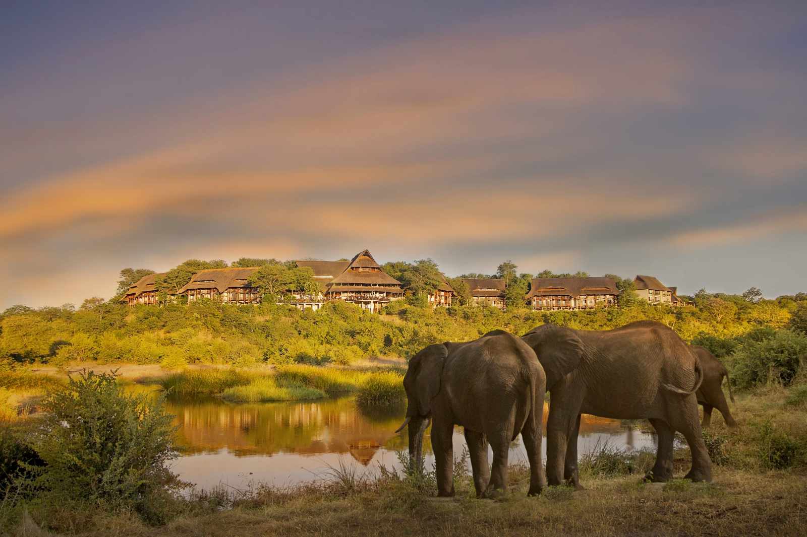 Simbabwe Elefant vor Hotel - cc Victoria Falls Lodge