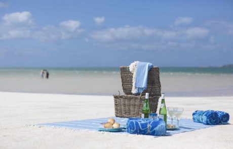 Mosambik Simbabwe Kombo – HiRes-WHV-Howard-324-scaled