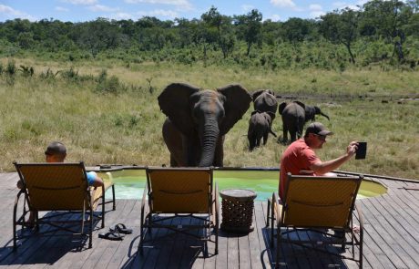 Mosambik Simbabwe Kombo – KHULU-BUSH-CAMP-9-scaled Simbabwe cc KHULU-BUSH-CAMP View