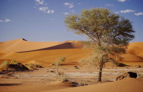 Namibia-an-1 Namibia Namib Wüste