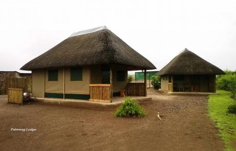 Namibia-an-Palmwag Namibia Palmwag