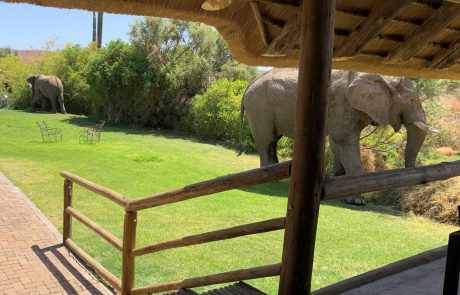 Namibia -cc Palmwag Lodge