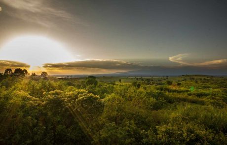 Sonnenuntergang im Akagera Nationalpark Ruanda