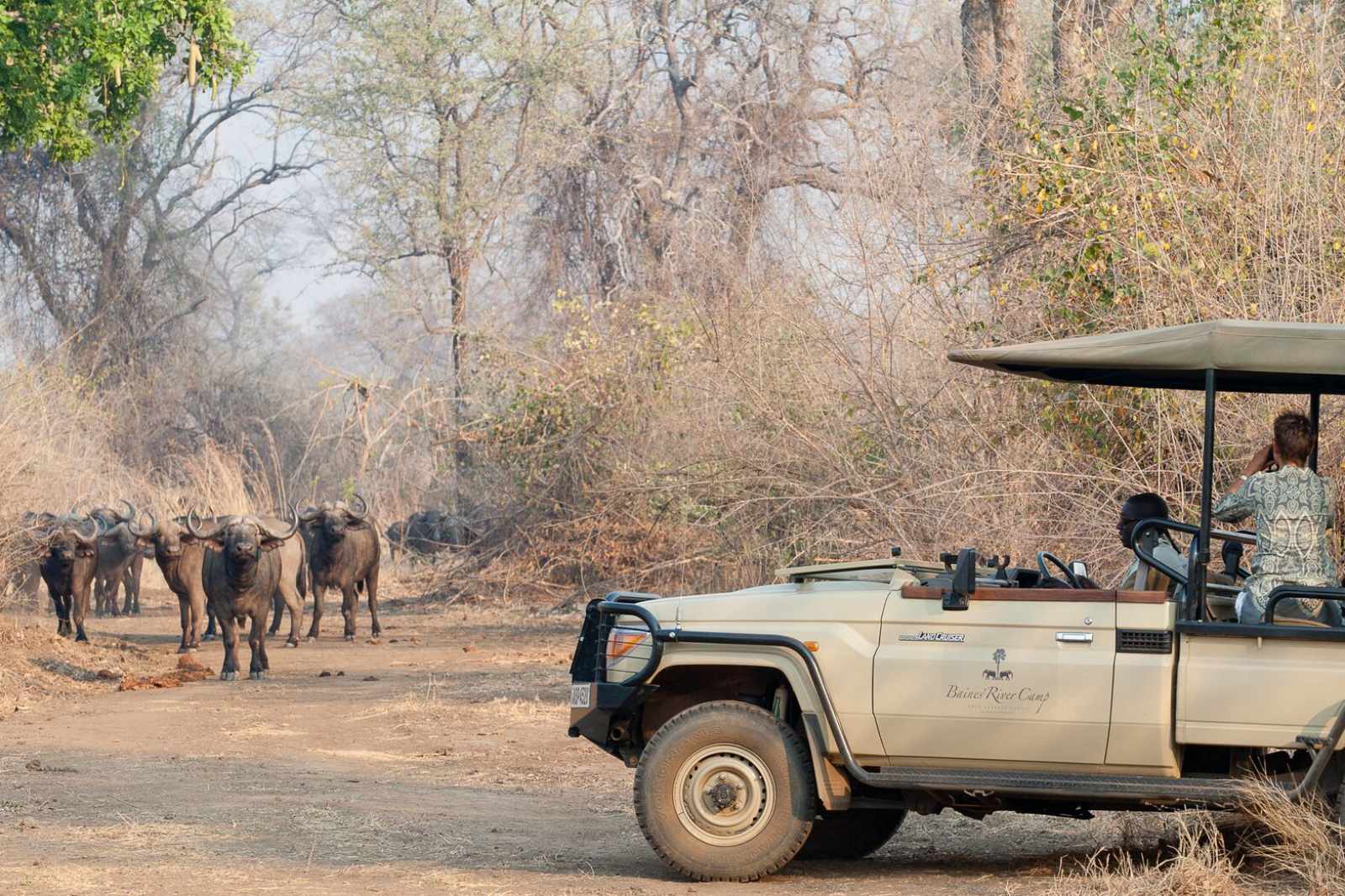 Sambia-Lower_Zambezi - Safari