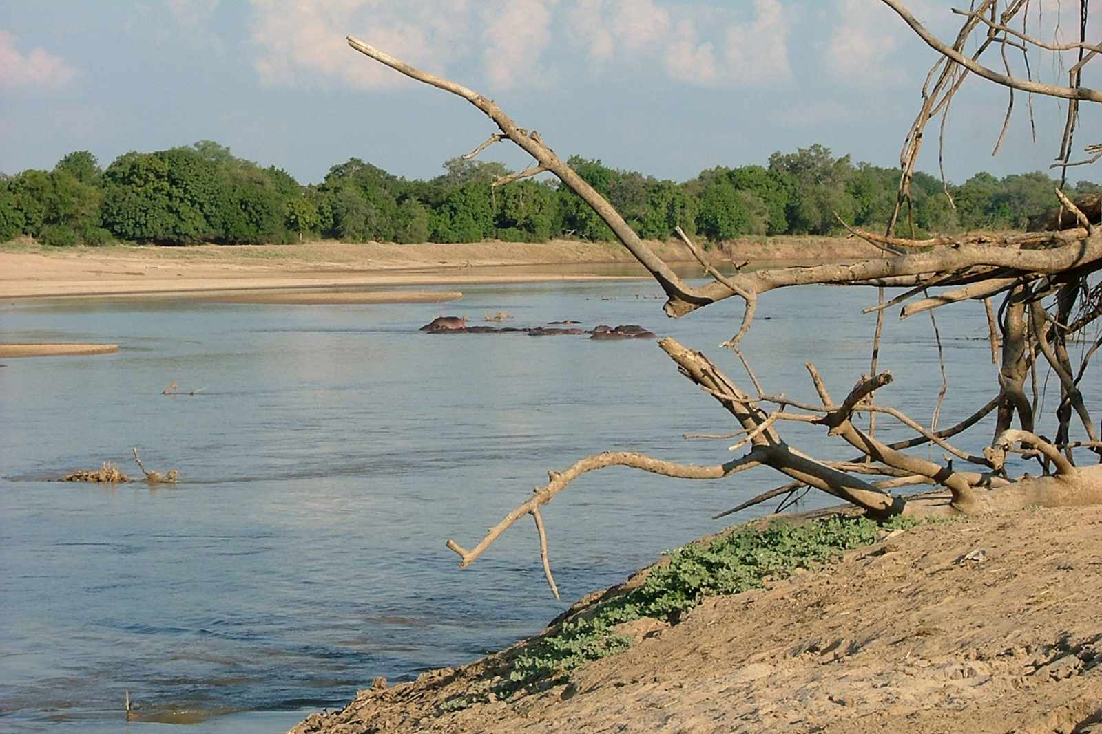 South Luangwa Sambia Luangwa Fluss