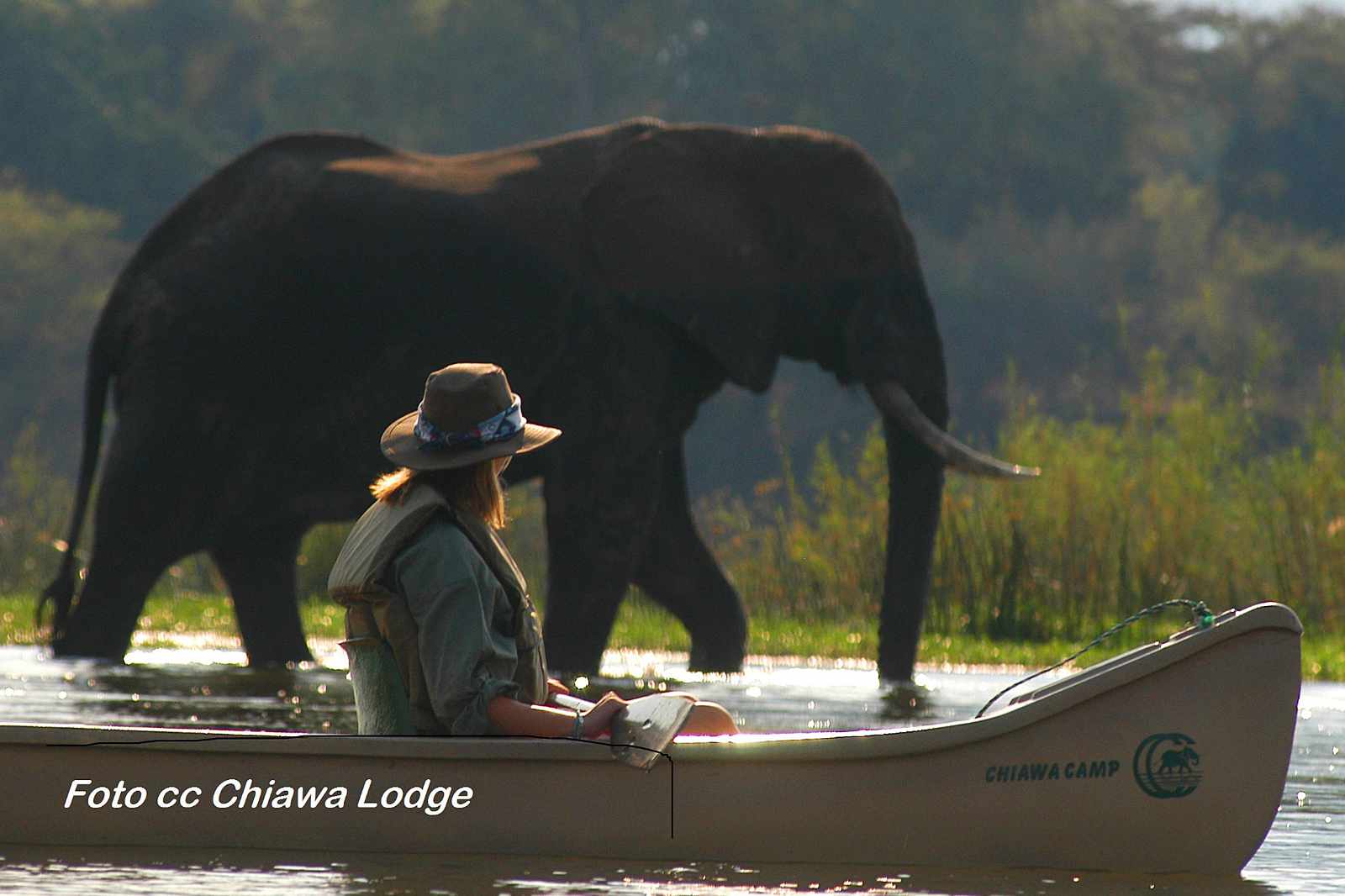 Sambia Lower Zambezi Fluss Safari credit Chiawa Safaris