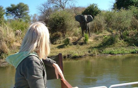 Sambia Lower Zambezi Bootstour Sambia Lower Zambezi Bootstour