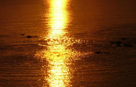 Sambia Lower Zambezi Sunset