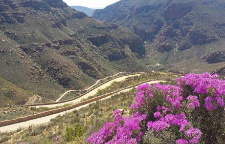 zerklüftete Berglandschaft im Western Cape Südafrika