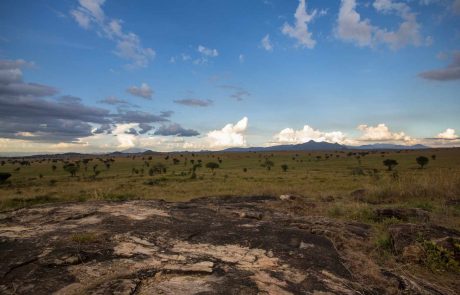 Ugandas Norden-Kidepo-National-Park-scaled