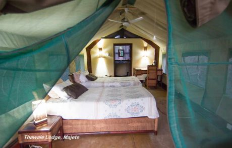 Malawi Majete Park Thawale Lodge