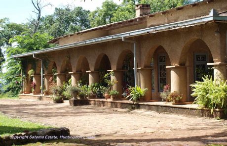 malawi-sblt-Satema-Estate-Huntingdon-Lodge Malawi Satema Teeplantage